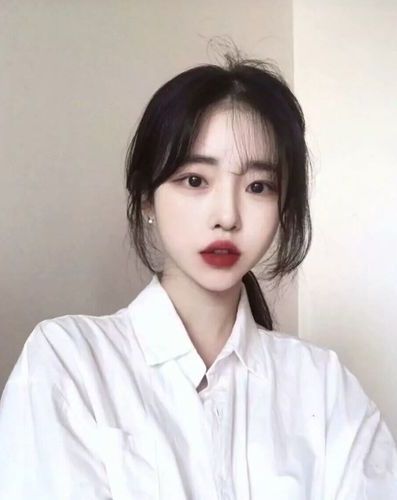 怪物们的朋友[nph人外]