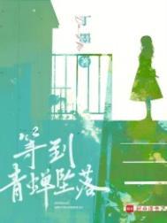 《持续高热ABO》作者：空菊