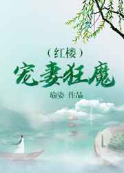 红楼宠妻狂魔/瑜姿