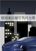 亮剑之开局一个团
